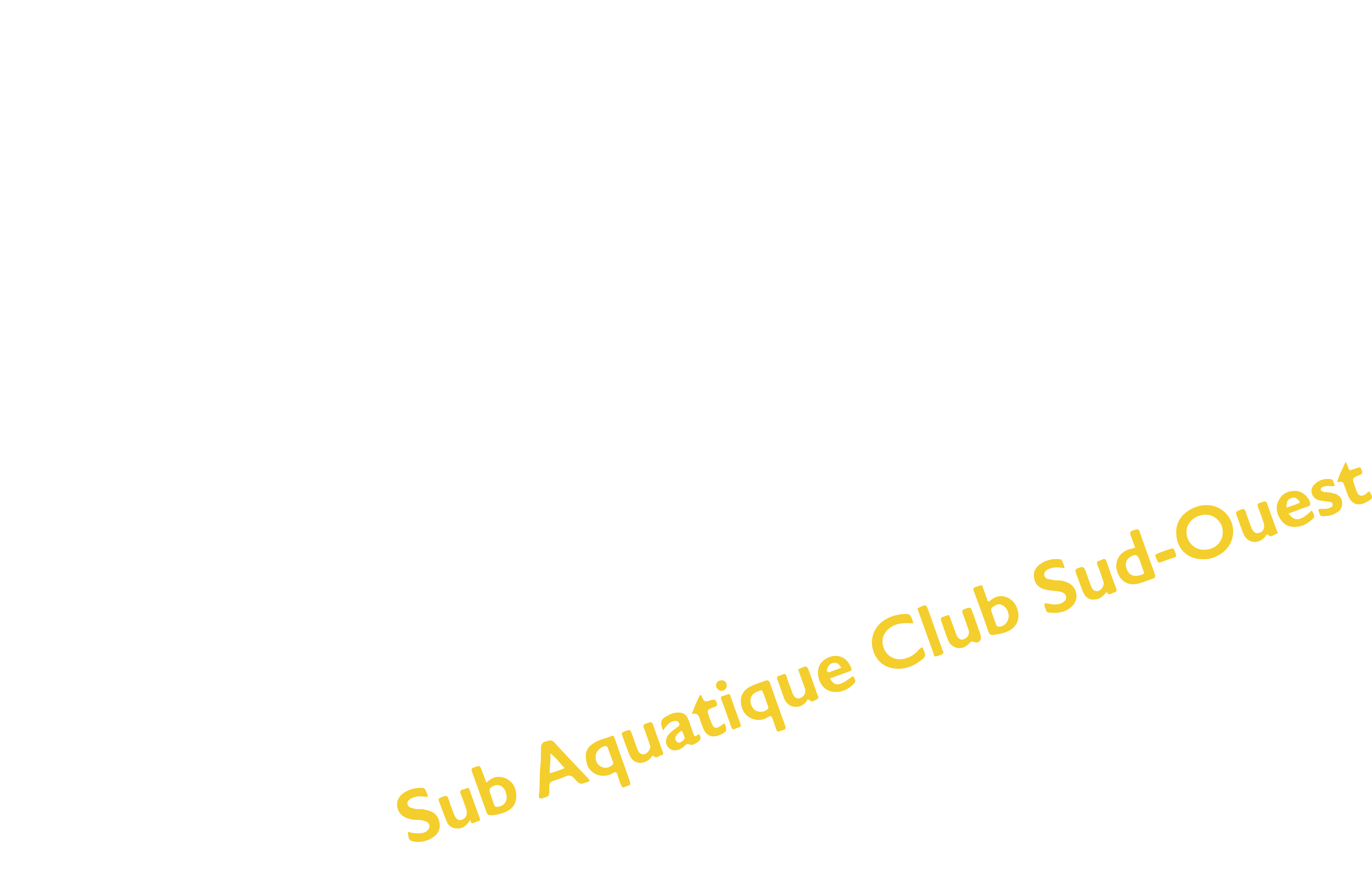 Logo de SACSO